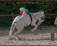 1-13JUIN 1260